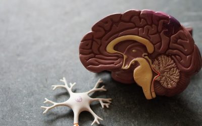 What is a psychological autopsy?