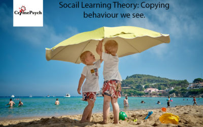 Social Learning Theory: Copying what we see