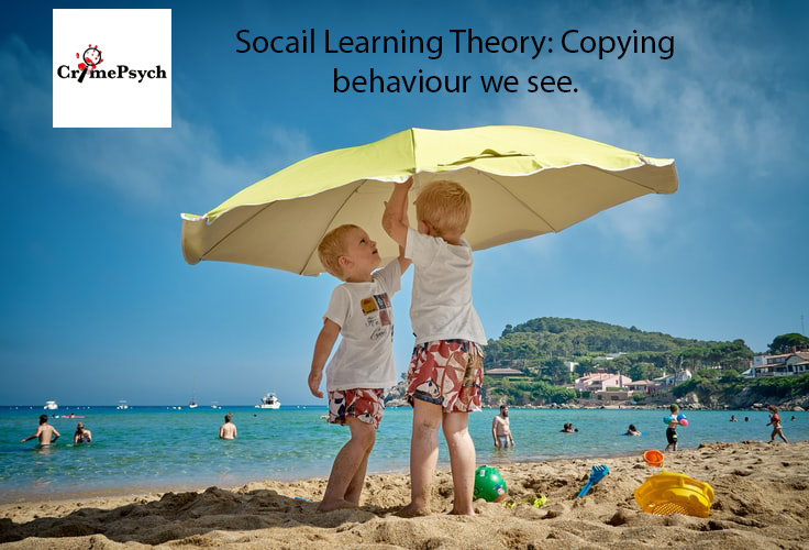 Social Learning Theory: Copying what we see