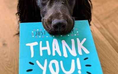 Thank you for your support to help the homeless