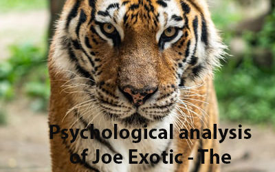 Psychological analysis of Joe Exotic the Tiger King