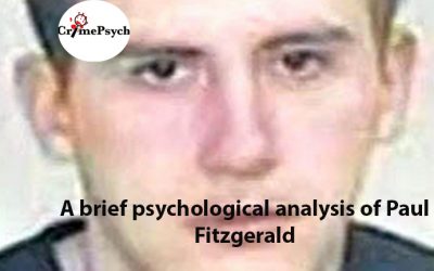 Psychological analysis of Paul Fitzgerald